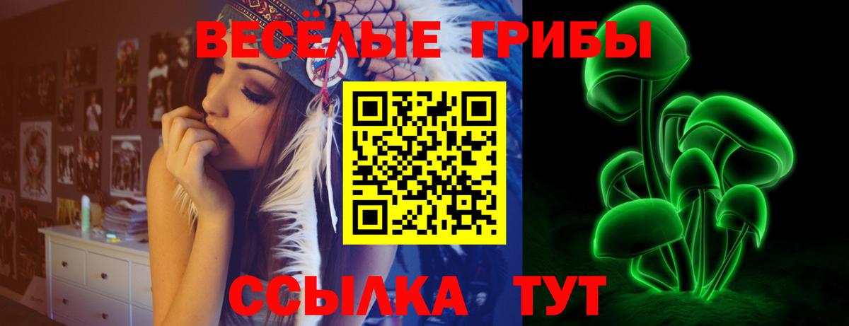 Ливны  Псилоцибиновые грибы Psilocybe  Вход с VPN 